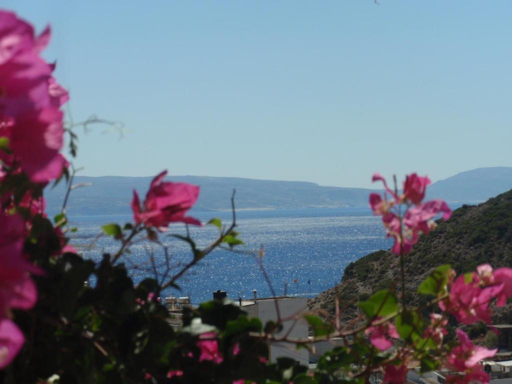 Fevro Hotel Agia Galini Værelse billede