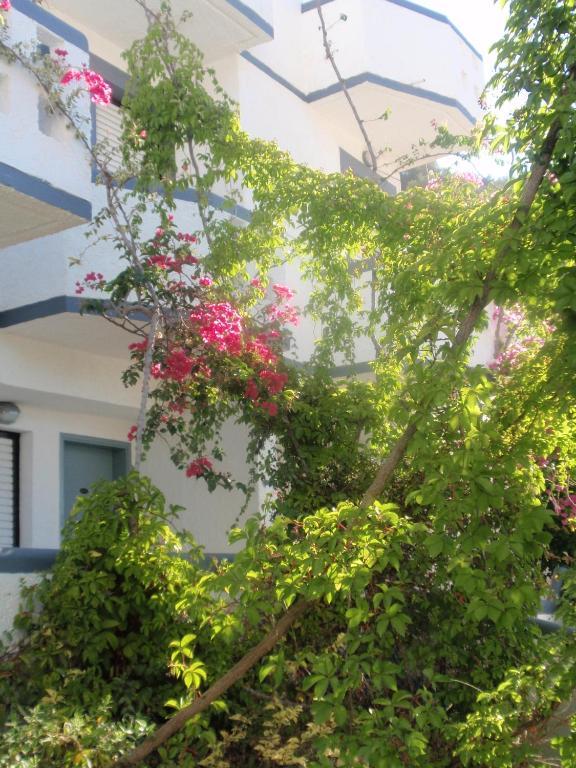 Fevro Hotel Agia Galini Værelse billede