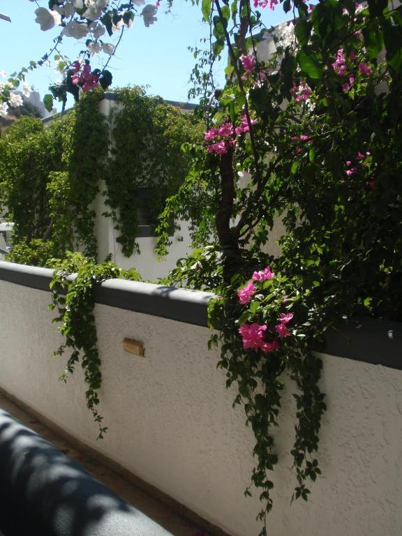 Fevro Hotel Agia Galini Værelse billede