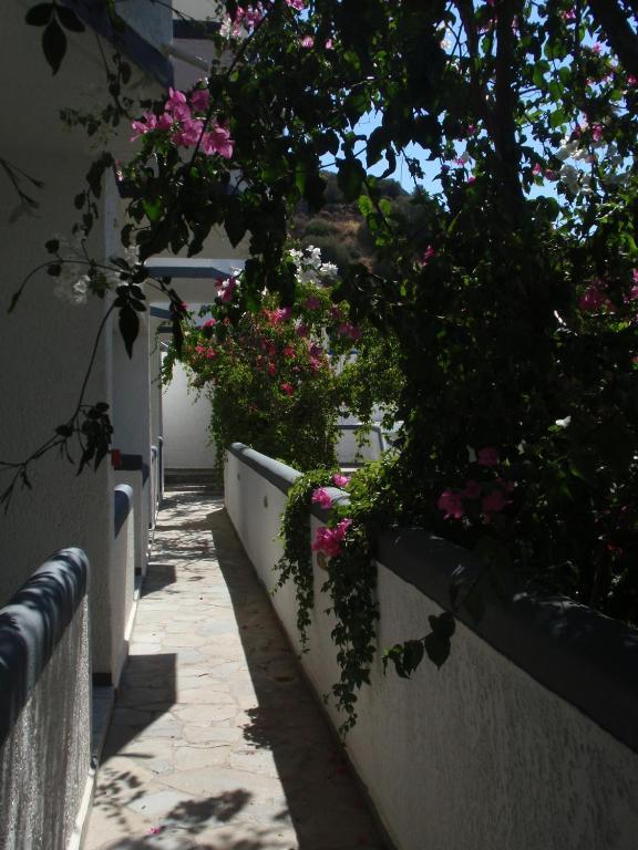 Fevro Hotel Agia Galini Værelse billede